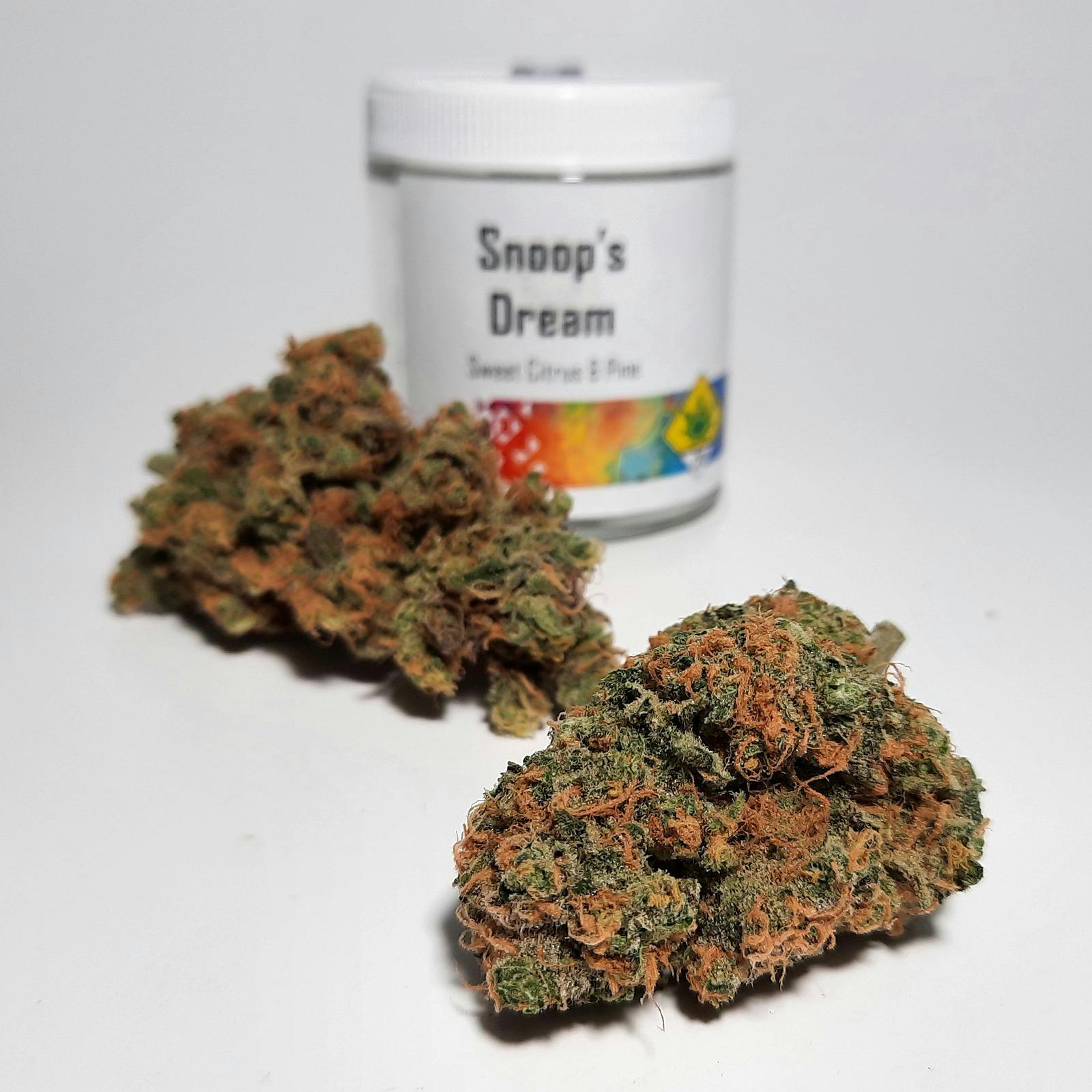 Snoops Dream by Pioneer Nuggets